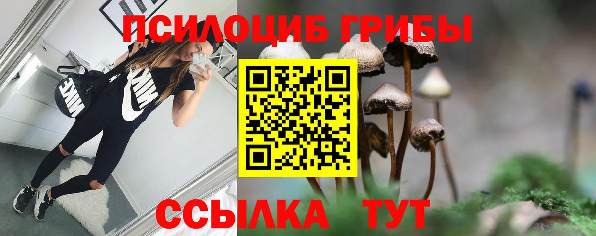 Галлюциногенные грибы Cubensis Ставрополь