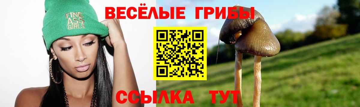 Ставрополь  Псилоцибиновые грибы мицелий  цена наркотик  Вход с VPN  Псилоцибиновые грибы мухоморы 